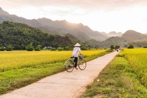 Visite des rizières à vélo